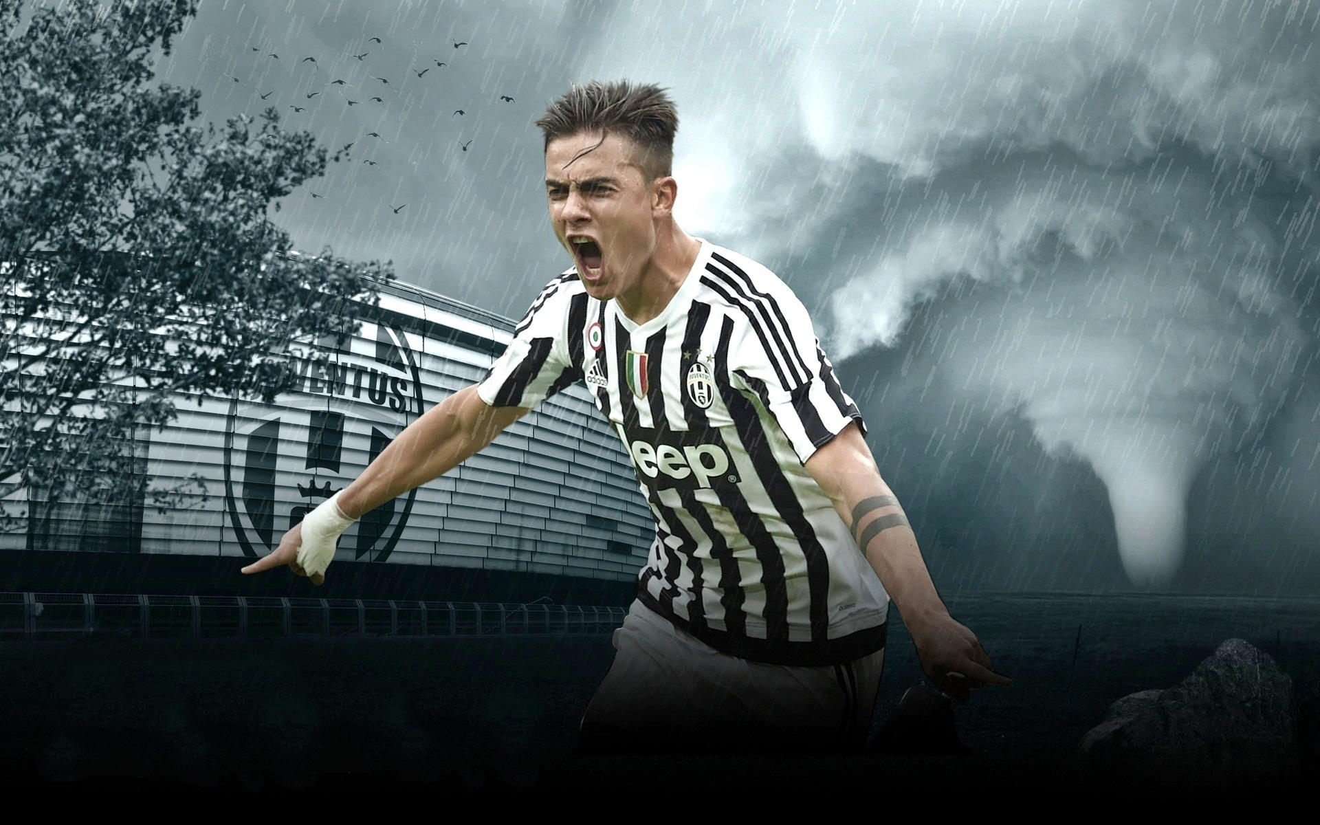 徐江评申花错失冠军：管理层决策有问题，领先时选择足协杯