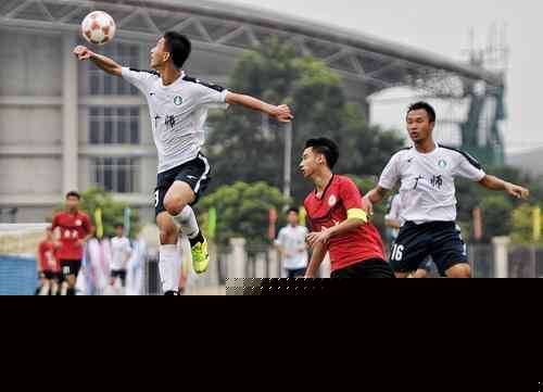 篮球篮网更新战术板，全队轮转更灵活