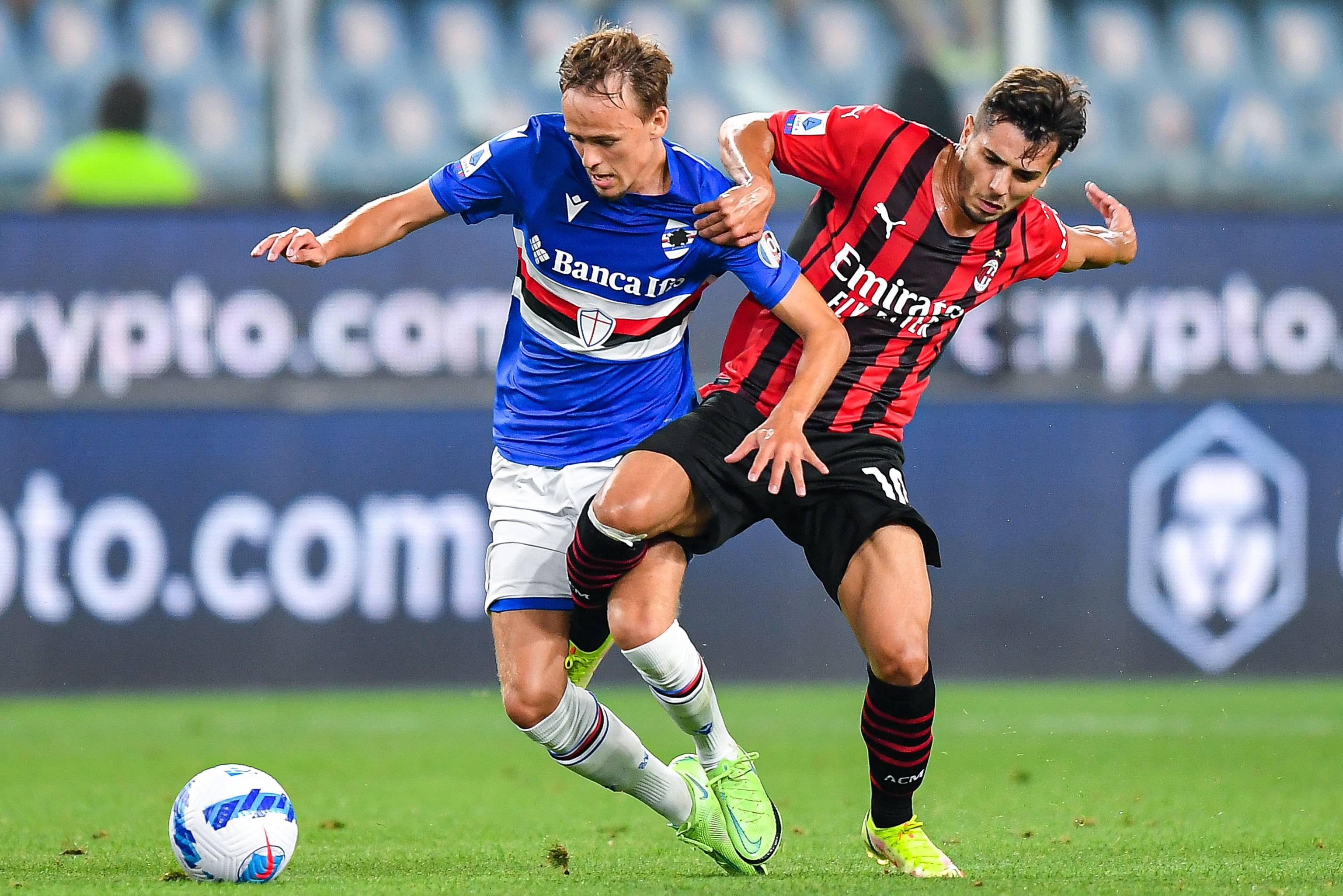 澳超第7轮观赛指南：新西兰德比战火重燃；悉尼力求捍卫榜首